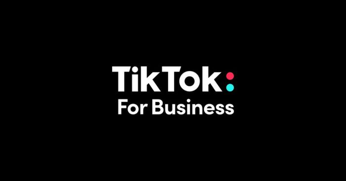 Using TikTok for Business