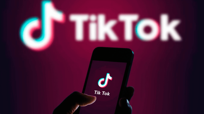 Using TikTok for Business